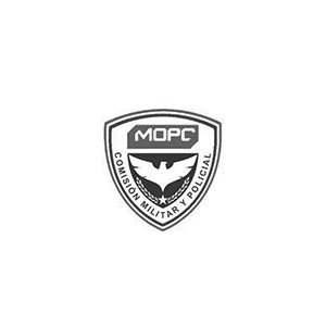 LOGO 15